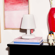 Edison the Petit H25