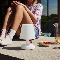 Edison the Petit H25