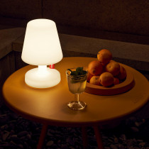 Edison the Petit H25