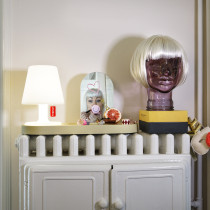 Edison the Petit H25