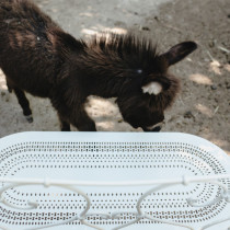 1900 Bench Clay Grey