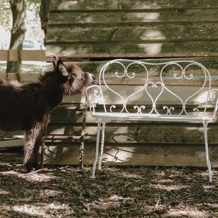 1900 Bench Clay Grey