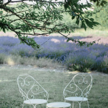 1900 Cabriolet Armchair Clay Grey