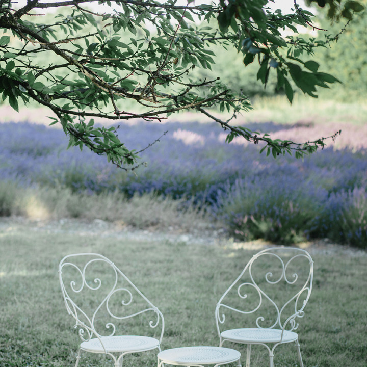 1900 Cabriolet Armchair Clay Grey