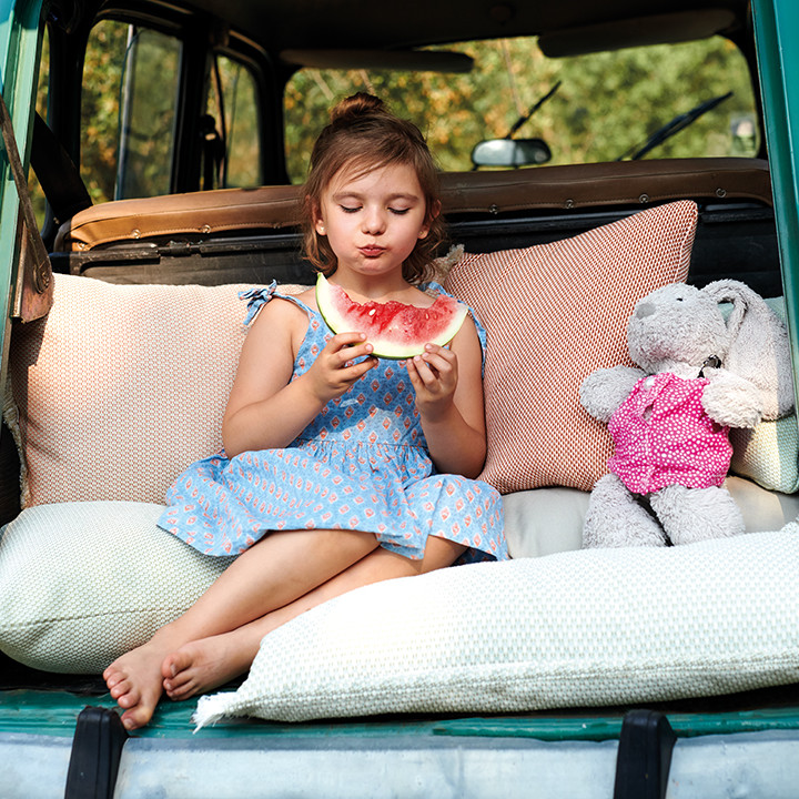 Evasion Cushion 68х44 Atacama