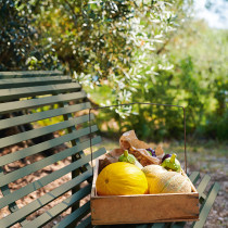 Louisiane Bench 150 Clay Grey