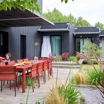 Ribambelle XL 149-299x100 Frosted lemon