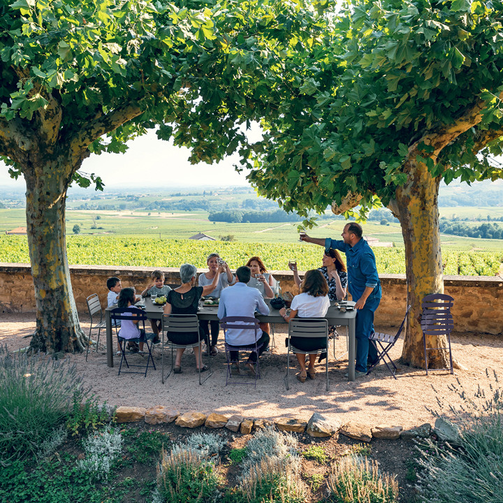 Ribambelle XL 149-299x100 Frosted lemon