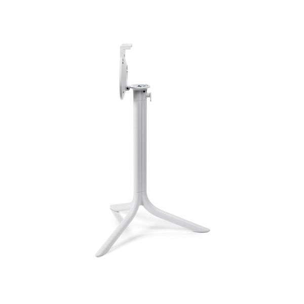 Base Flute Vern Bianco