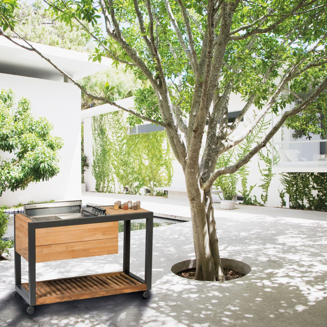 Кухня Arvid з газовим грилем