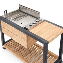 Кухня Arvid з газовим грилем