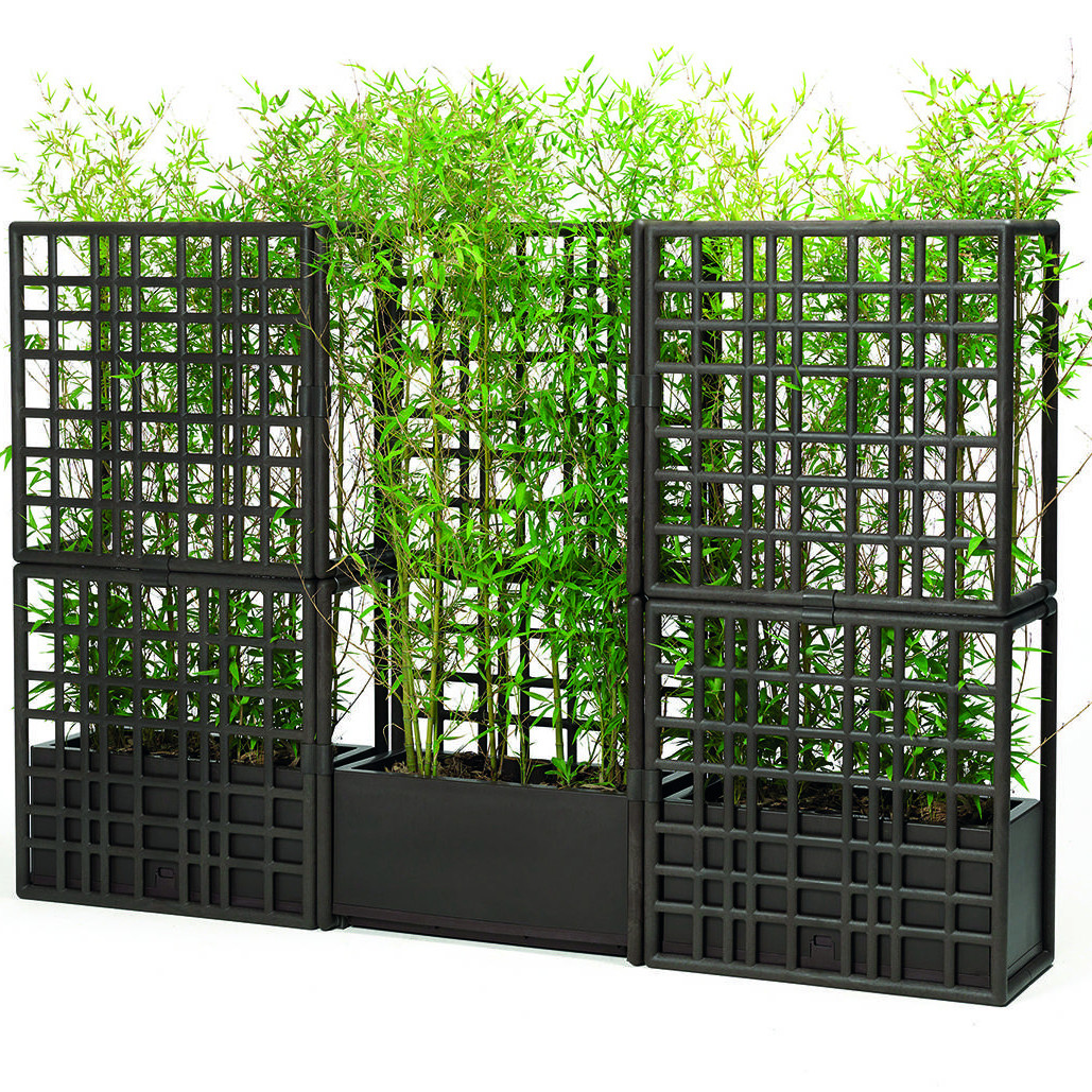 Модульна стінка Sipario Terra