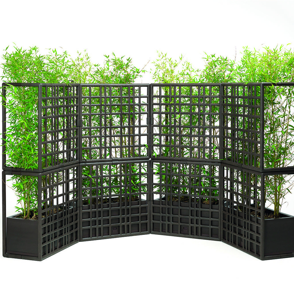 Модульна стінка Sipario Terra