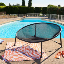 Netorious Anthracite