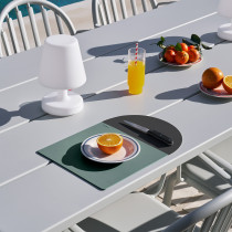 Набір серветок Placemaster (2шт.) Sage Anthra