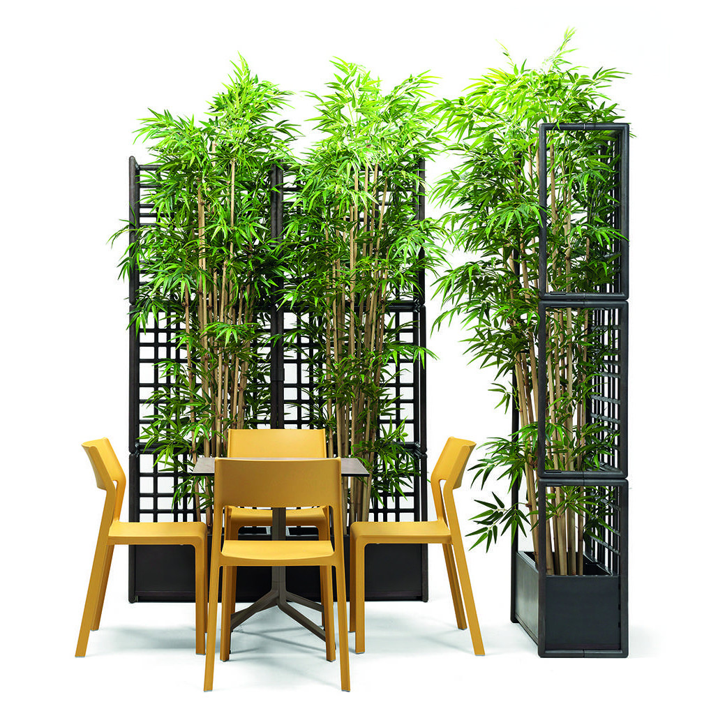 Модульна стінка Sipario 2 Terra